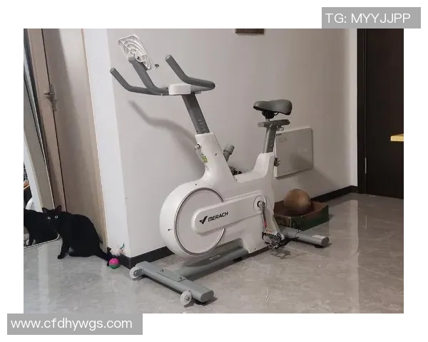 黑龙江健身器材选购指南与品牌推荐